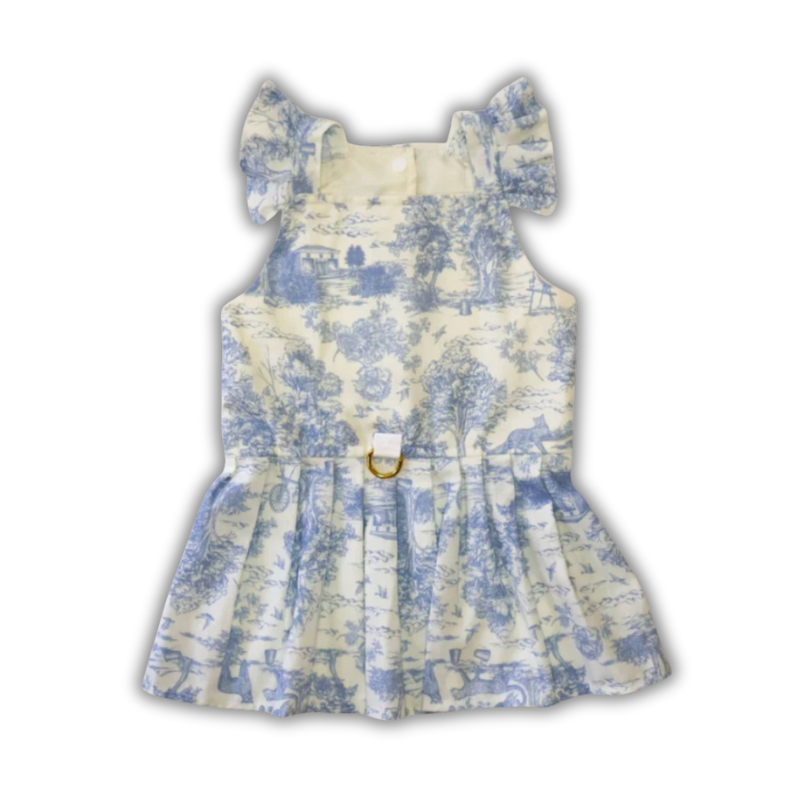 Pastel Blue Toile Dress