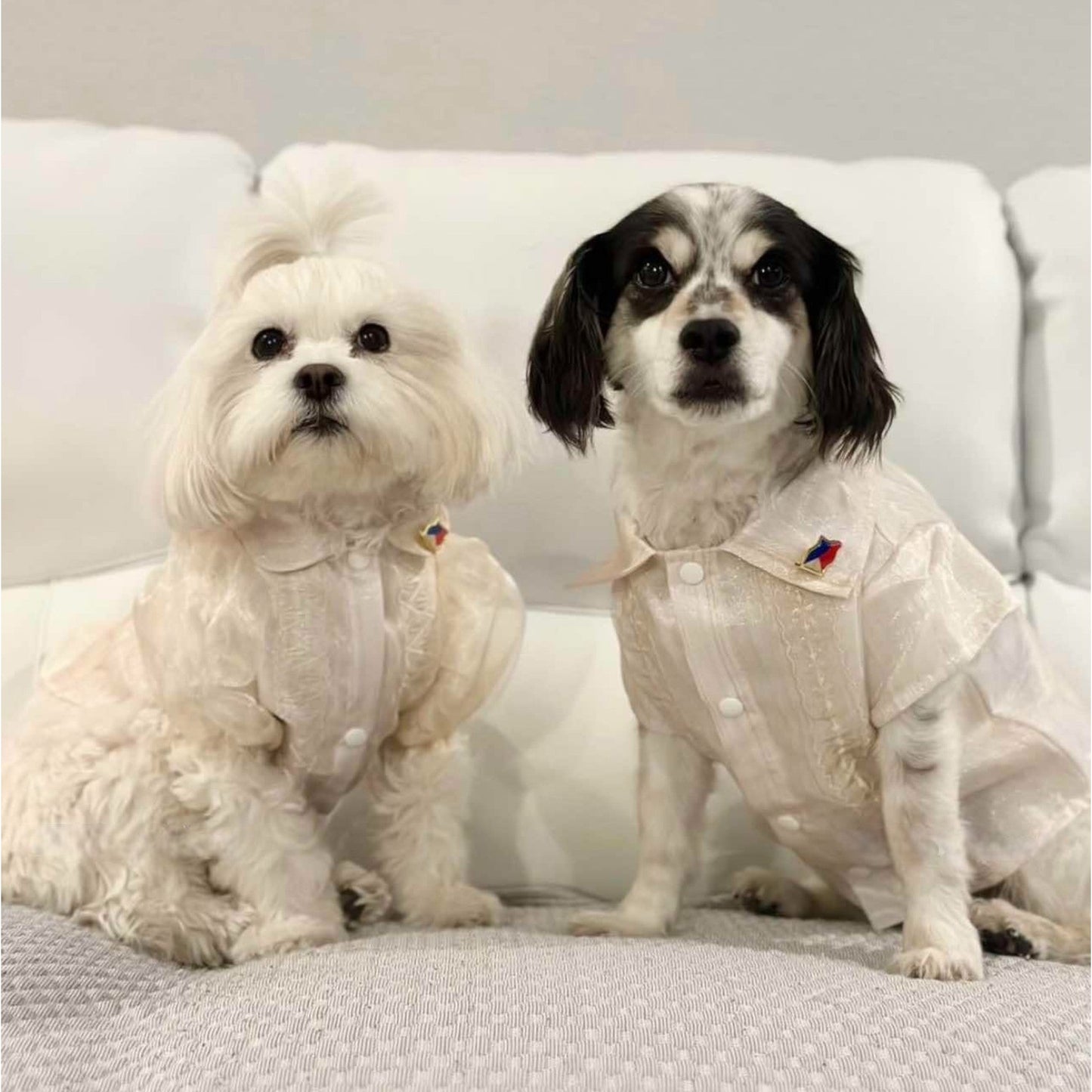 Wearing Fil Dog Cream Barong.