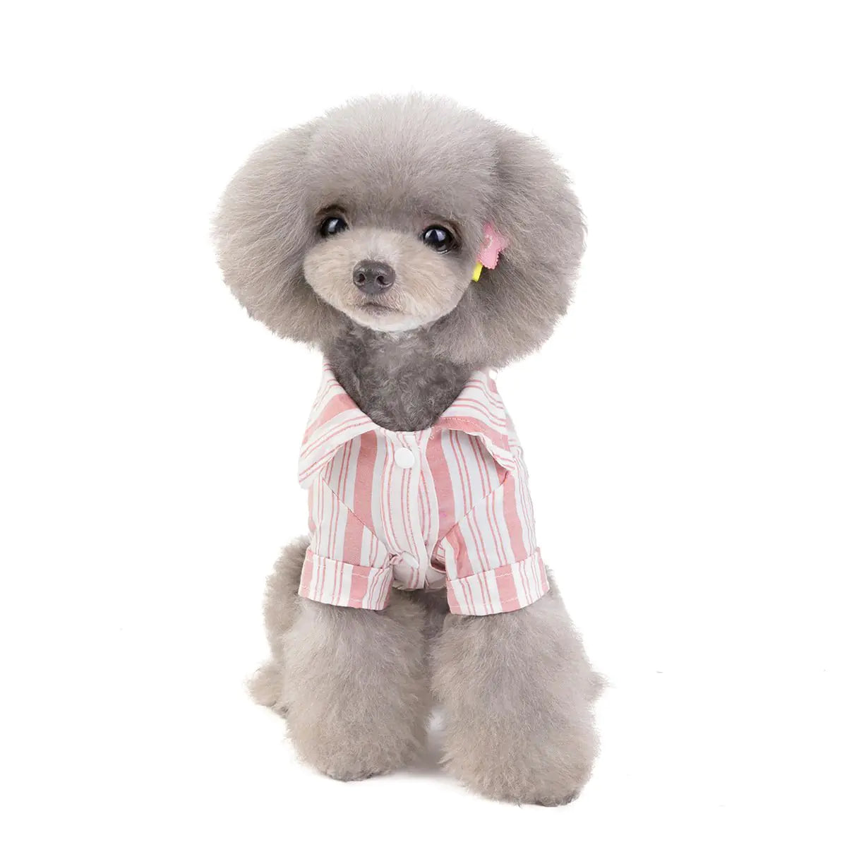 Cute dog shirt โ Fil Dog clothing