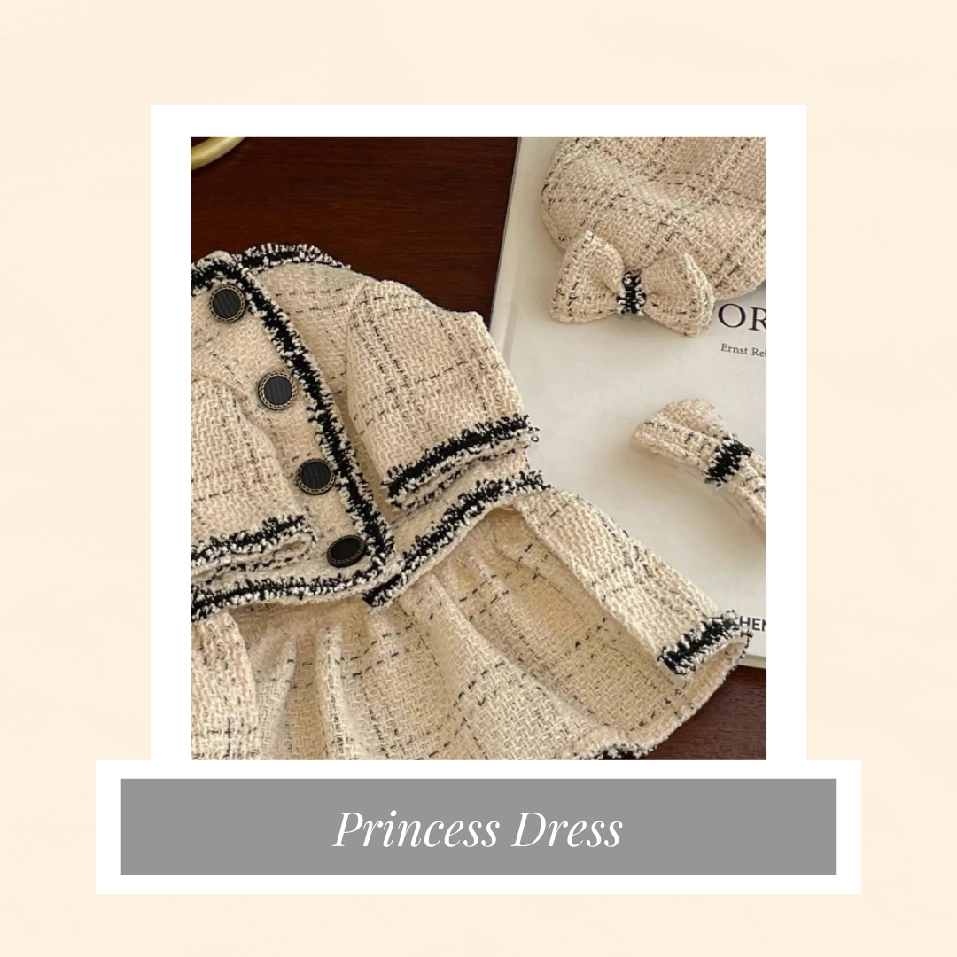 Princess Dress