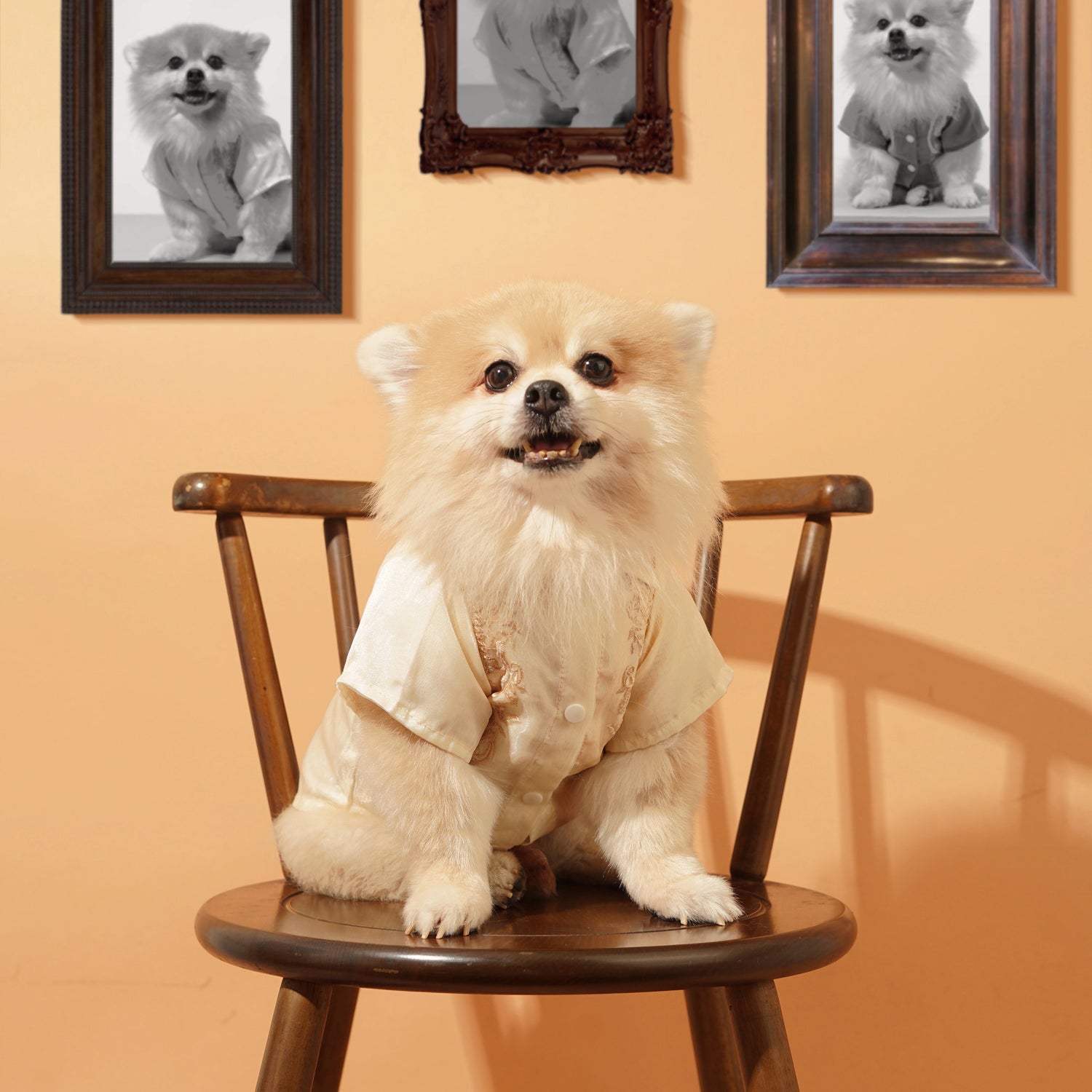 Traditional Pet Barong Collection