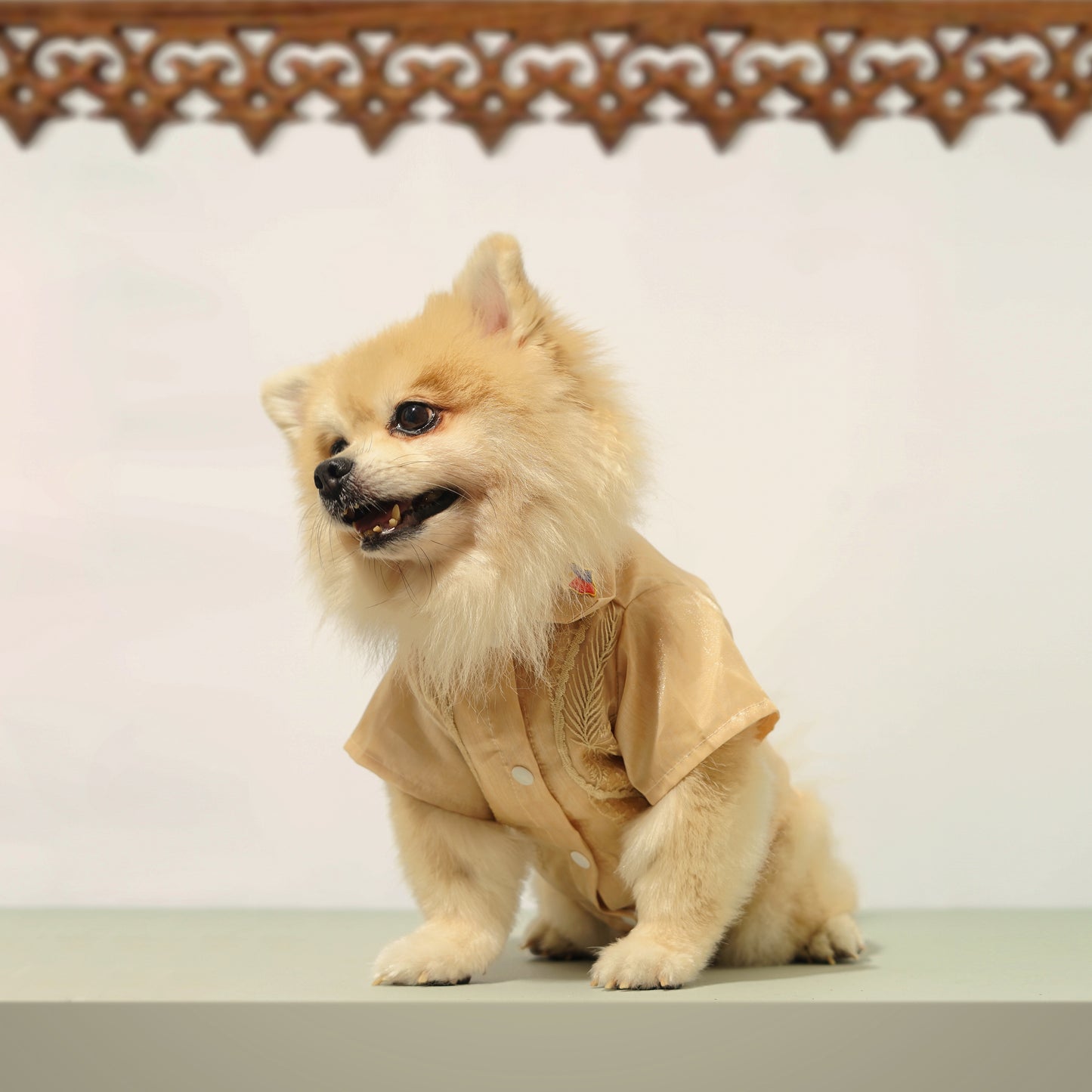 Mocha Polo Barong
