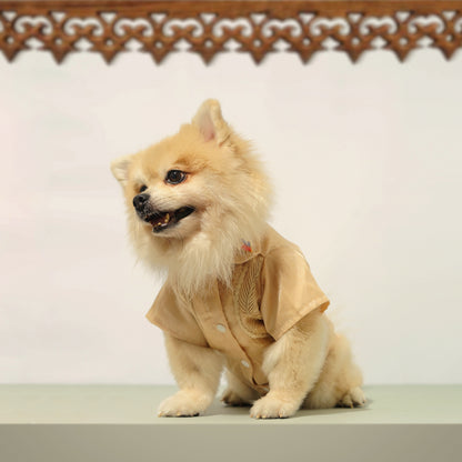 Mocha Polo Barong