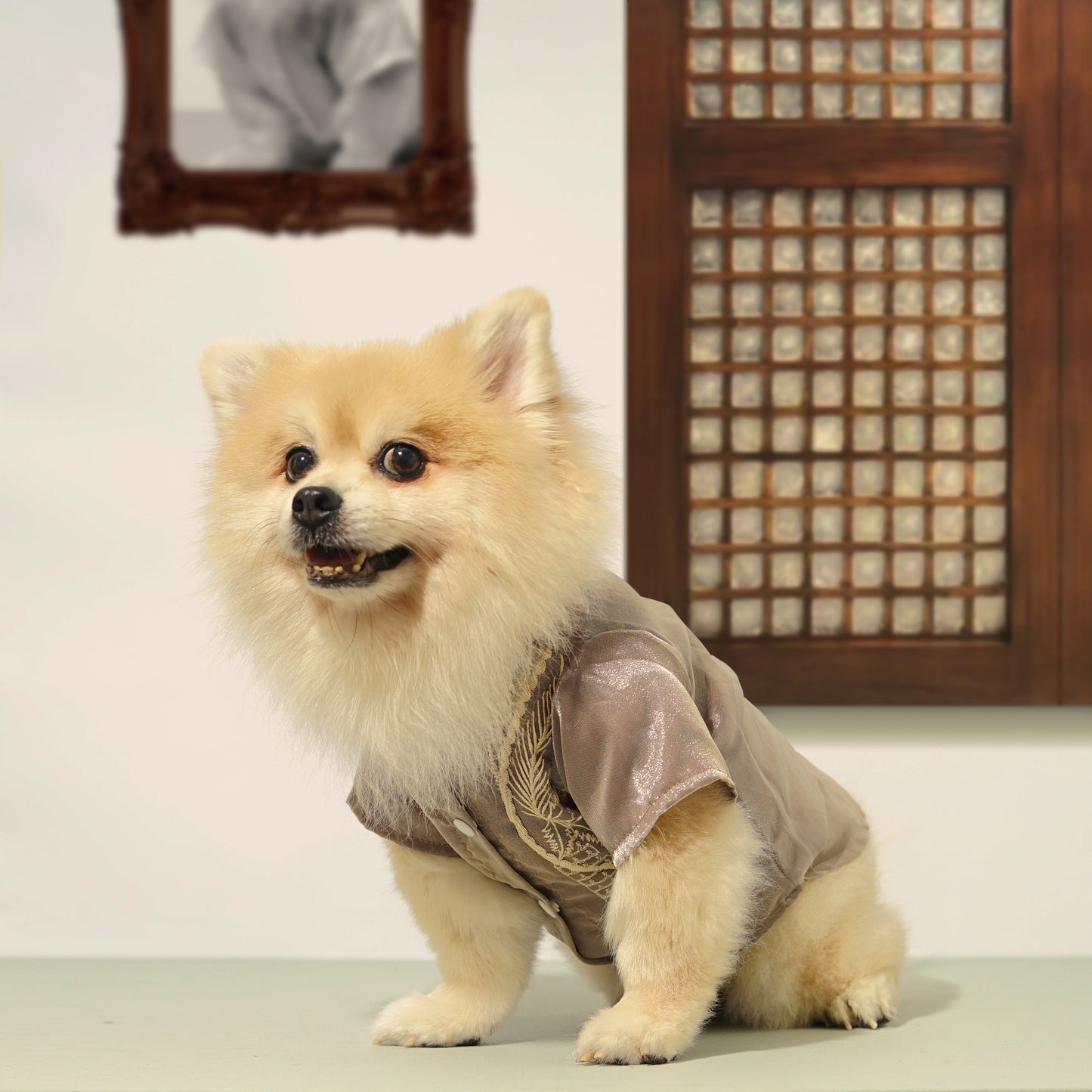 Choco Polo Barong
