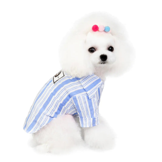 Dog wearing Dolly Shirt – playful pet apparel